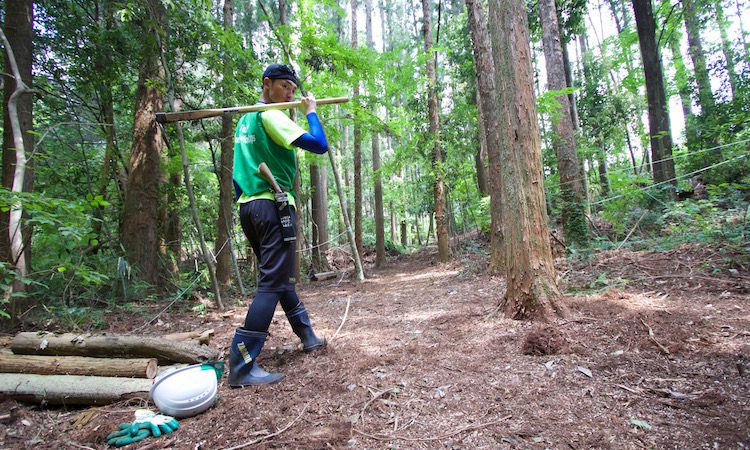 日本一周中、林業体験
